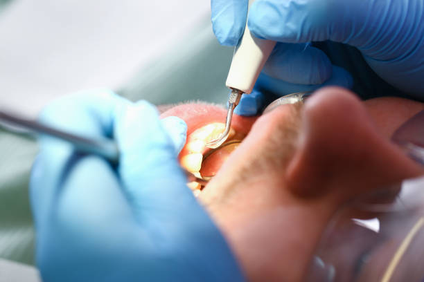 Best Emergency Pediatric Dental Care in Hammond, LA